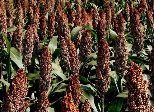 點擊查看詳細信息<br>標題：   閱讀次數(shù)：3118